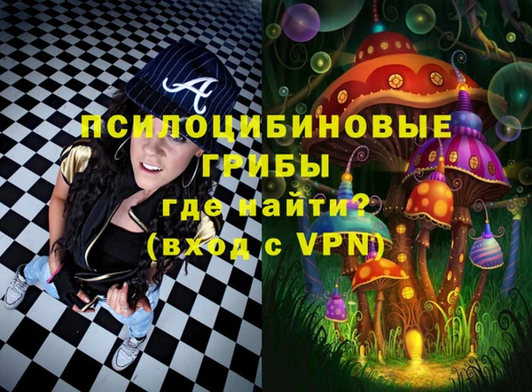 PSILOCYBIN Алексеевка
