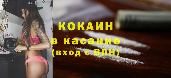 шишки Алексин