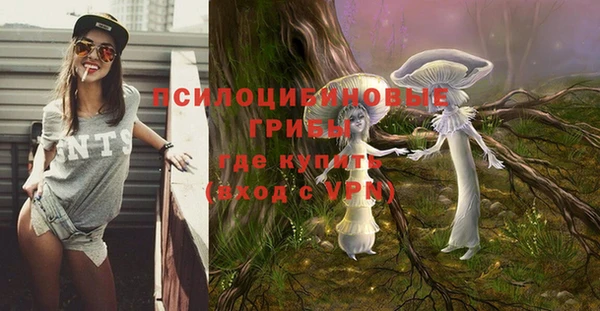 шишки Алексин