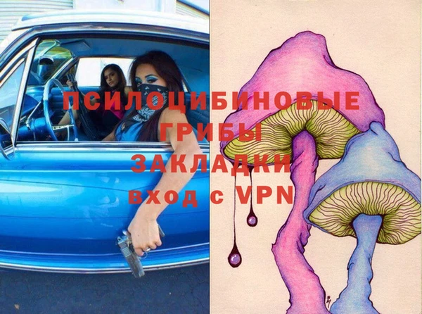шишки Алексин