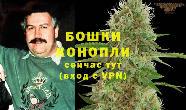 шишки Алексин