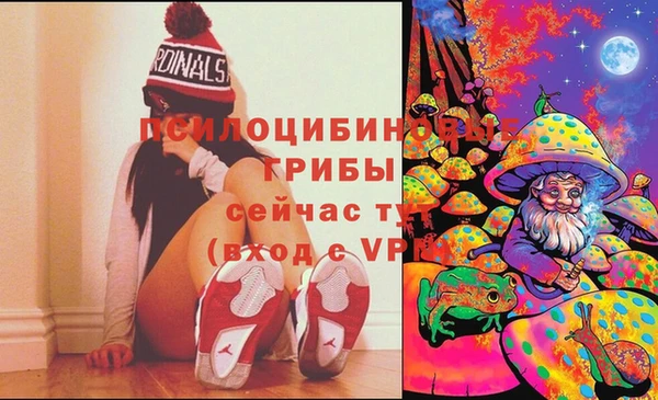 PSILOCYBIN Алексеевка