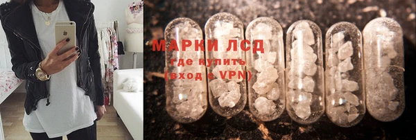 шишки Алексин