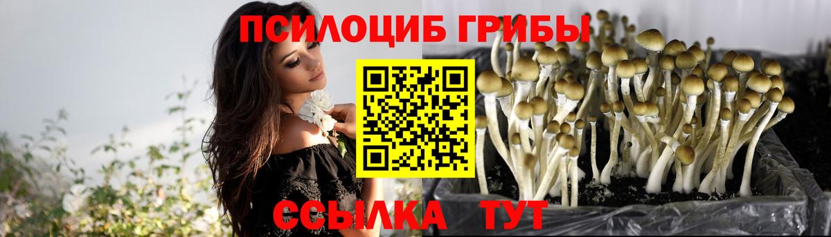 Учалы  Псилоцибиновые грибы Psilocybine cubensis  Псилоцибиновые грибы Psilocybine cubensis  Вход с VPN 